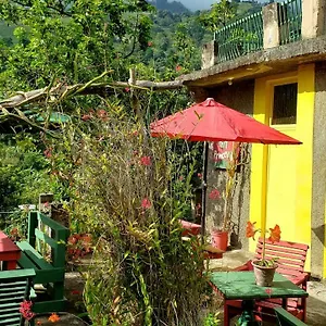 Valley , Irish Town Jamaica